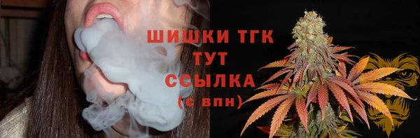 mdpv Волоколамск