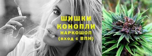mdpv Волоколамск